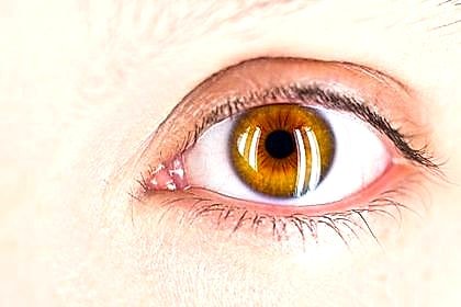 Close-up of a glamorous eye with full lash extensions